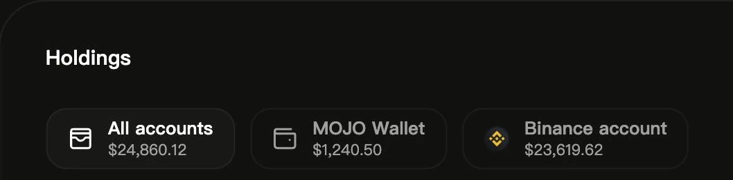 Holdings by account: all accounts, Mojo Wallet and Binance account.